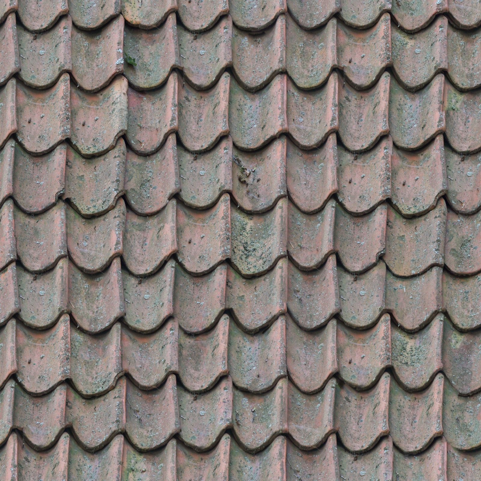 Roof & Moss Cleaning — illustrative stock photograph